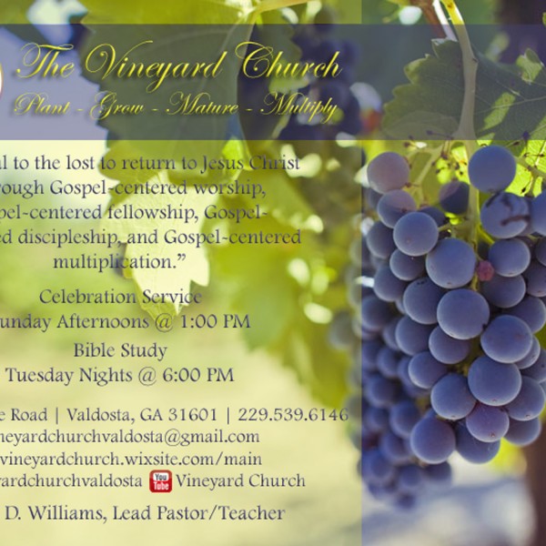 The Vineyard Church of Valdosta