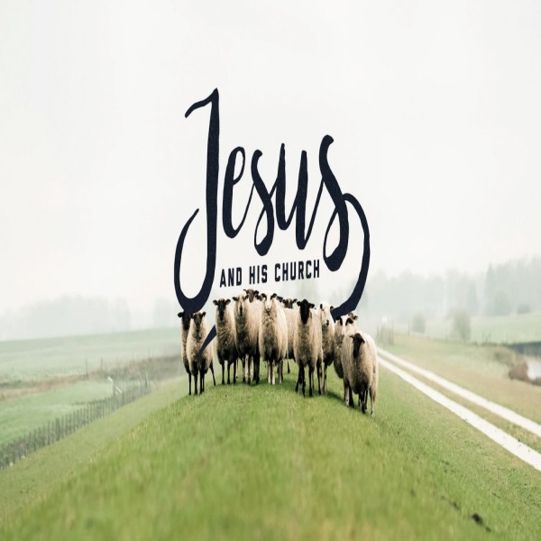 Overcoming the World 1 John 5:1-5