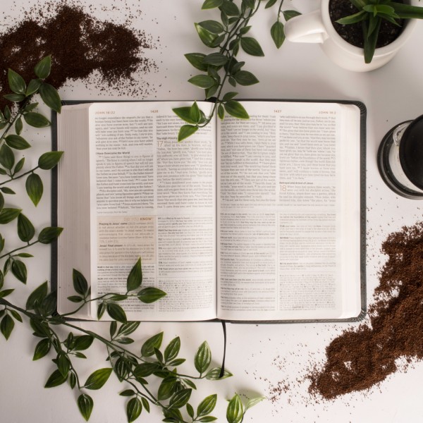 Ep 12 - 1 Timothy 2 - Instructions for Public Worship