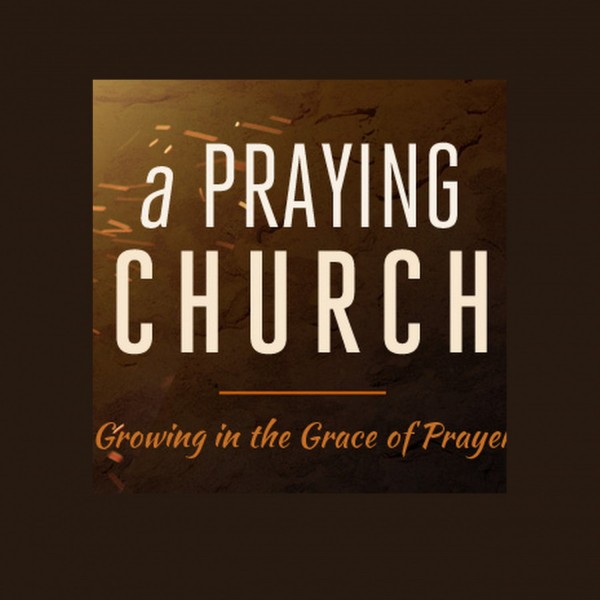 A Brand New Life Podcast : Fact vs Fiction Luke 13